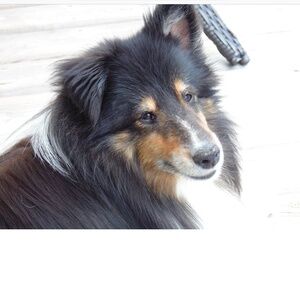 Meet your Posher, Lori